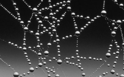 Nederland tweede land met wet voor netneutraliteit